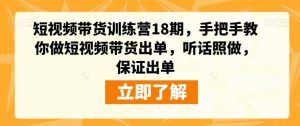 短视频带货训练营18期，手把手教你做短视频带货出单，听话照做，保证出单-副业宇宙