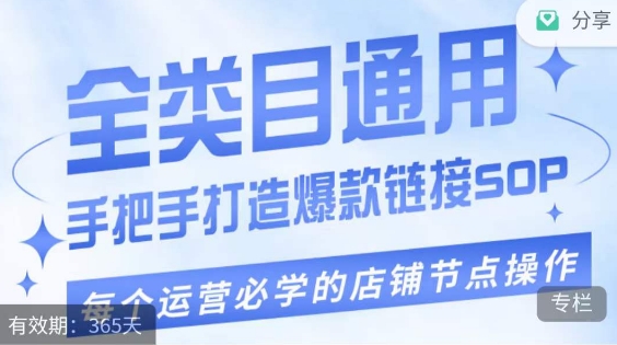 单品爆款打造实操运营，单品爆款从“0”-“1”手把手演练运营步骤-副业宇宙