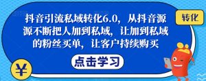 抖音引流私域转化6.0，从抖音源源不断把人加到私域，让加到私域的粉丝买单，让客户持续购买-副业宇宙