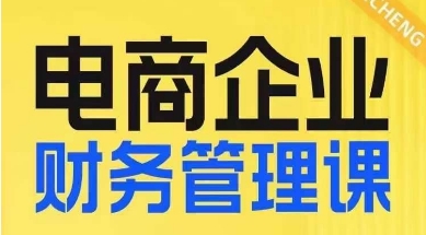 电商企业财务管理线上课，为电商企业规划财税-副业宇宙