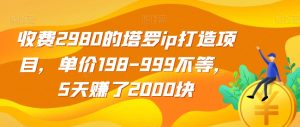收费2980的塔罗ip打造项目，单价198-999不等，5天赚了2000块【揭秘】-副业宇宙