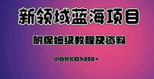 虚拟资源蓝海领域新项目，轻松日入800＋，附保姆级教程及资料-副业宇宙