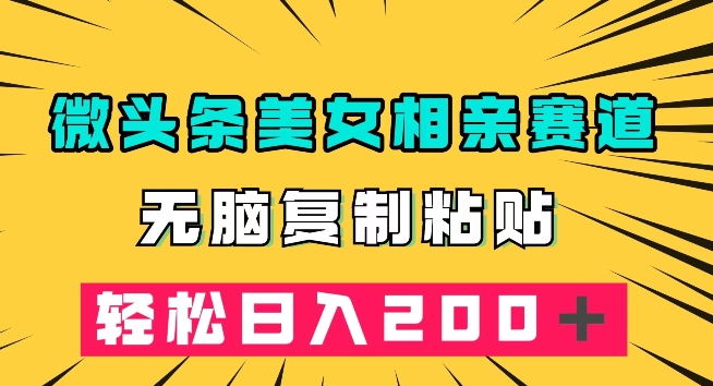 微头条冷门美女相亲赛道，无脑复制粘贴，轻松日入200＋【揭秘】-副业宇宙