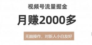 视频号流量掘金，无脑操作，对新人小白友好，月赚2000多【揭秘】-副业宇宙