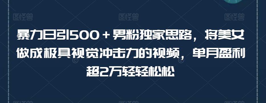 暴力日引500＋男粉独家思路，将美女做成极具视觉冲击力的视频，单月盈利超2万轻轻松松-副业宇宙