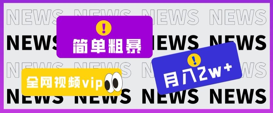 简单粗暴零成本，高回报，全网视频VIP掘金项目，月入2万＋【揭秘】-副业宇宙