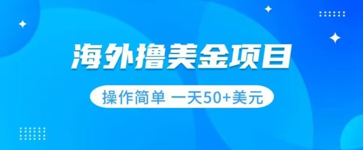撸美金项目无门槛操作简单小白一天50+美刀-副业宇宙