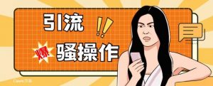 最新引流骚操作，单账号日引50-100，简单粗暴，适合于小白各行各业都可以进行操作，精准粉丝加到爆-副业宇宙