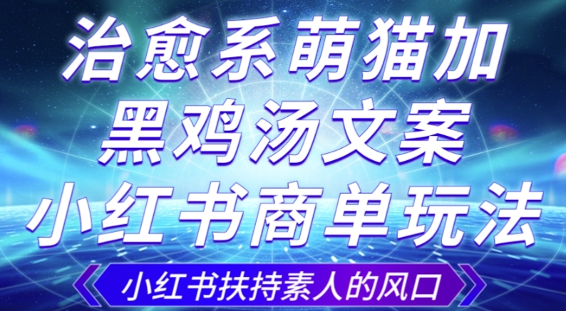 治愈系萌猫加+黑鸡汤文案，小红书商单玩法，3~10天涨到1000粉，一单200左右-副业宇宙
