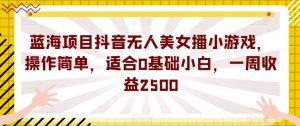 蓝海项目抖音无人美女播小游戏,操作简单,适合0基础小白,一周收益2500【揭秘】-副业宇宙