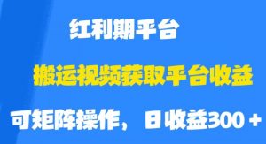 搬运视频获取平台收益，平台红利期，附保姆级教程【揭秘】-副业宇宙