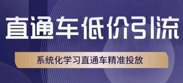 直通车低价引流课，系统化学习直通车精准投放-副业宇宙