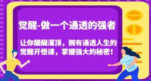 觉醒-做一个通透的强者，让你醍醐灌顶，拥有通透人生的觉醒开悟课，掌握强大的秘密！-副业宇宙