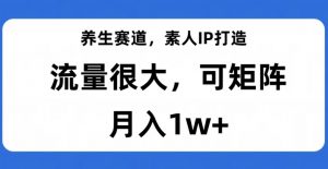 养生赛道，素人IP打造，流量很大，可矩阵，月入1w+【揭秘】-副业宇宙