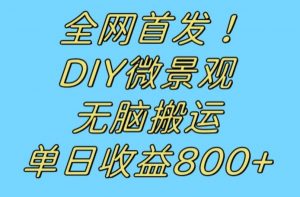 全网首发冷门赛道！DIY微景观，无脑搬运视频，日收益800+【揭秘】-副业宇宙