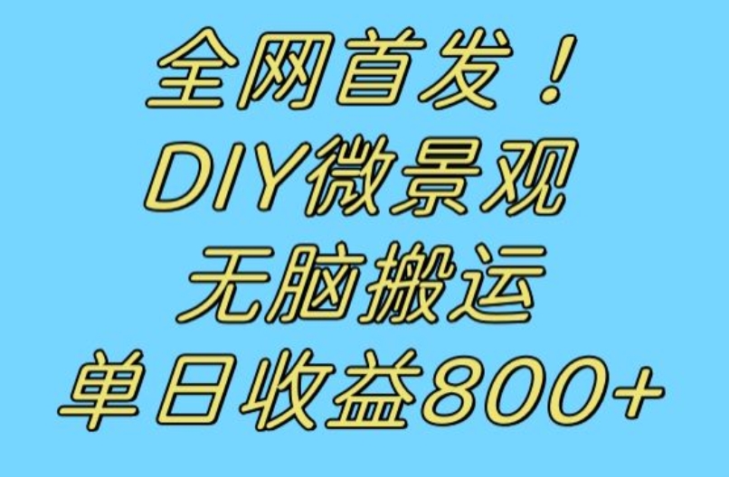 全网首发冷门赛道！DIY微景观，无脑搬运视频，日收益800+【揭秘】-副业宇宙