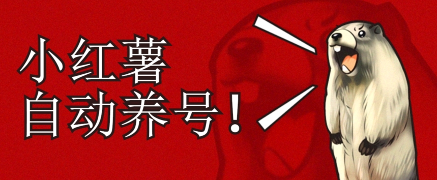 小红书养号秘籍，如何自动涨粉清晰系统标签打造高权重账号【揭秘】-副业宇宙