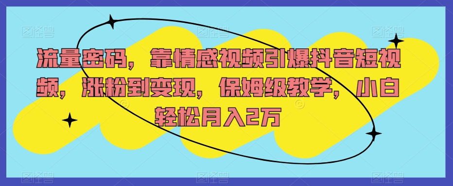 流量密码，靠情感视频引爆抖音短视频，涨粉到变现，保姆级教学，小白轻松月入2万【揭秘】-副业宇宙