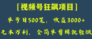 日收款500笔，纯利润3000+，视频号狂飙项目，会简单剪辑就能做【揭秘】-副业宇宙