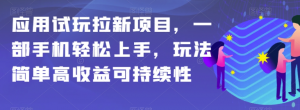 应用试玩拉新项目，一部手机轻松上手，玩法简单高收益可持续性【揭秘】-副业宇宙