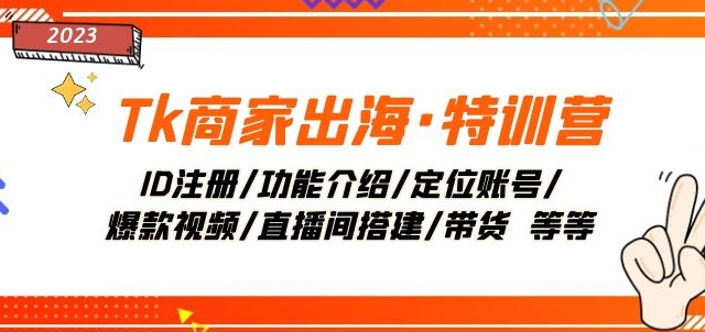 Tk商家出海·特训营：ID注册/功能介绍/定位账号/爆款视频/直播间搭建/带货-副业宇宙