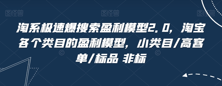 淘系极速爆搜索盈利模型2.0，淘宝各个类目的盈利模型，小类目/高客单/标品 非标-副业宇宙