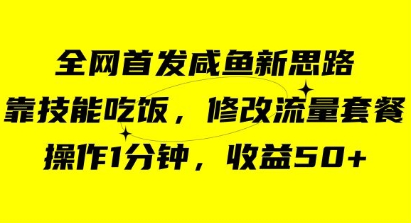 咸鱼冷门新玩法，靠“技能吃饭”，修改流量套餐，操作1分钟，收益50【揭秘】-副业宇宙
