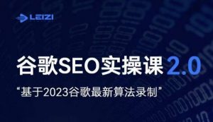 雷子·谷歌SEO 2.0实战课，独立站询盘自由必备，基于2023谷歌最新算法录制-副业宇宙