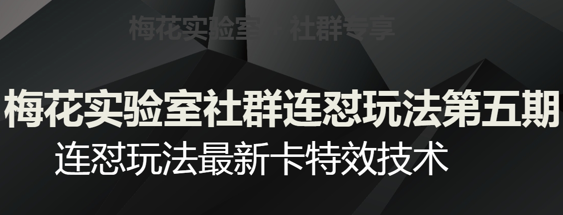 梅花实验室社群连怼玩法第五期，视频号连怼玩法最新卡特效技术-副业宇宙