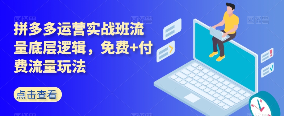拼多多运营实战班流量底层逻辑，免费+付费流量玩法-副业宇宙