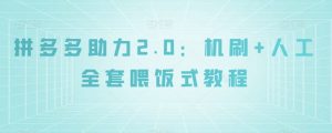 拼多多助力2.0：机刷+人工全套喂饭式教程【揭秘】-副业宇宙