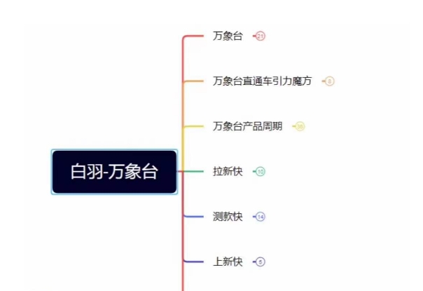 白羽·直引万搜索全篇，从0-1，多个类目实操经验总结付费-副业宇宙