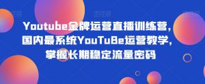 Youtube金牌运营直播训练营,国内最系统YouTuBe运营教学,掌握长期稳定流量密码-副业宇宙