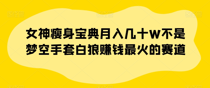 女神瘦身宝典月入几十W不是梦空手套白狼赚钱最火的赛道【揭秘】-副业宇宙