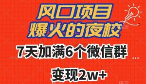 全网首发，爆火的夜校，7天加满6个微信群，变现2w+【揭秘】-副业宇宙