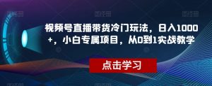 视频号直播带货冷门玩法,日入1000+,小白专属项目,从0到1实战教学【揭秘】-副业宇宙