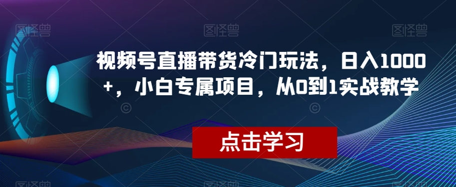 视频号直播带货冷门玩法，日入1000+，小白专属项目，从0到1实战教学【揭秘】-副业宇宙