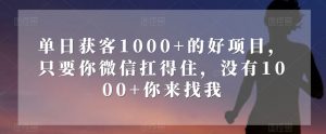 单日获客1000+的好项目，只要你微信扛得住，没有1000+你来找我【揭秘】-副业宇宙