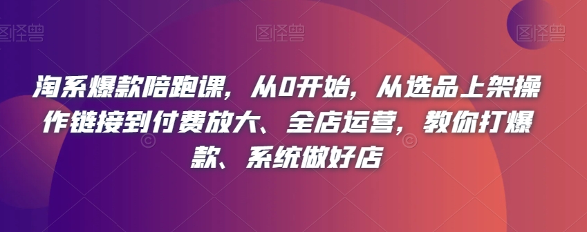 淘系爆款陪跑课，从0开始，从选品上架操作链接到付费放大、全店运营，教你打爆款、系统做好店-副业宇宙
