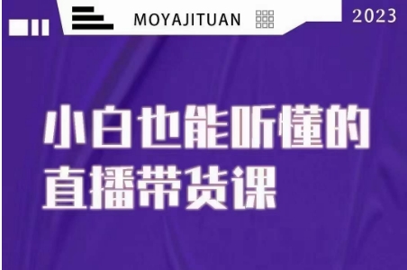 大威本威·能听懂的直播带货课，小白也能听懂，20节完整-副业宇宙