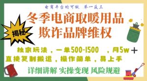 利用电商平台冬季销售取暖用品欺诈行为合理制裁店铺，单日入900+【仅揭秘】-副业宇宙