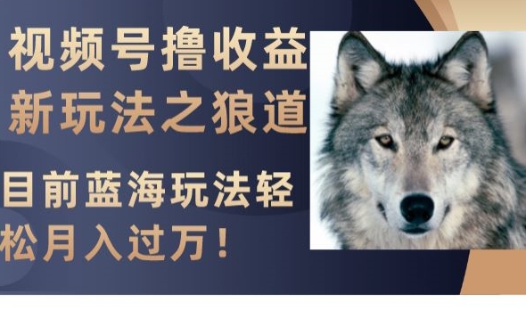 视频号撸收益新玩法之狼道，目前蓝海玩法，轻松月入过万【揭秘】-副业宇宙