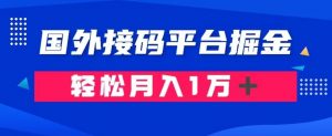 通过国外接码平台掘金：成本1.3，利润10＋，轻松月入1万＋【揭秘】-副业宇宙