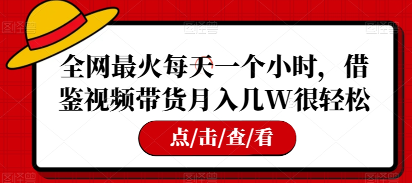 全网最火每天一个小时，借鉴视频带货月入几W很轻松【揭秘】-副业宇宙