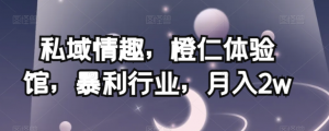 私域情趣,橙仁体验馆,暴利行业,月入2w【揭秘】-副业宇宙