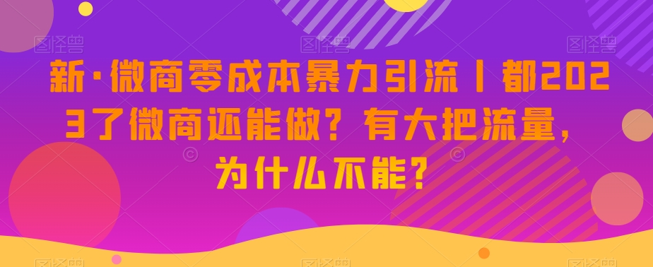 新·微商零成本暴力引流丨都2023了微商还能做？有大把流量，为什么不能？-副业宇宙