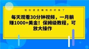 每天观看30分钟视频,一月躺赚1000+美金!保姆级教程,可放大操作【揭秘】-副业宇宙