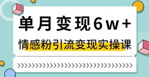 单月变现6W+，抖音情感粉引流变现实操课，小白可做，轻松上手，独家赛道【揭秘】-副业宇宙