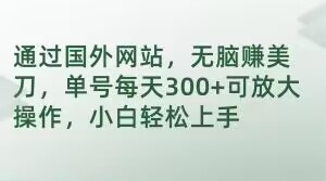 通过国外网站，无脑赚美刀，单号每天300+可放大操作，小白轻松上手【揭秘】-副业宇宙