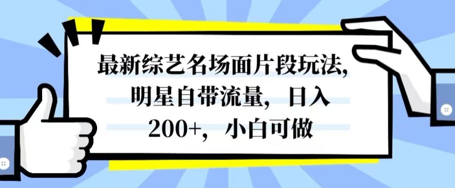 最新综艺名场面片段玩法，明星自带流量，日入200+，小白可做【揭秘】-副业宇宙